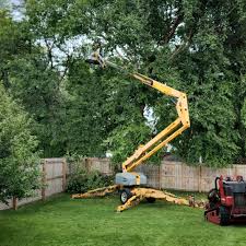 How Our Tree Care Process Works  in  Granger, IA