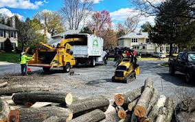 Best Commercial Tree Services  in Granger, IA