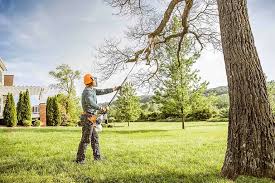 Best Firewood Processing and Delivery  in Granger, IA